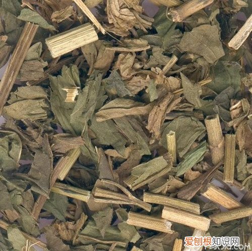佩兰叶泡茶 佩兰叶的功效与作用