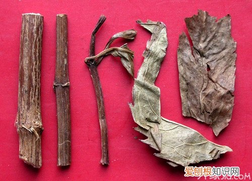 佩兰叶泡茶 佩兰叶的功效与作用