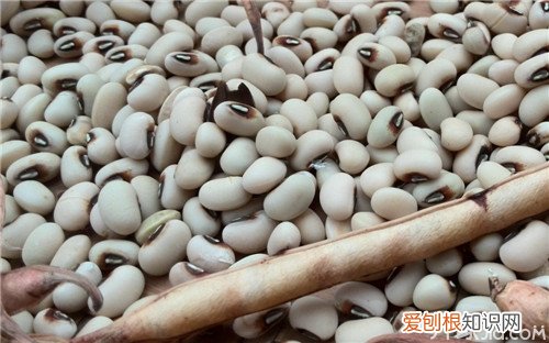 眉豆的功效与作用眉豆的种植方法
