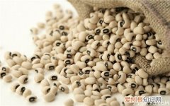 眉豆的功效与作用眉豆的种植方法