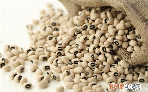 眉豆的功效与作用眉豆的种植方法