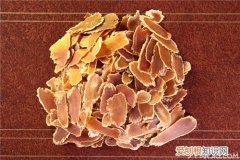 东洋参的功效与作用东洋参竟然还能减肥
