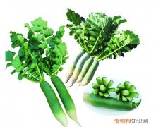 卫青萝卜功效及食用方法这样吃胜过人参