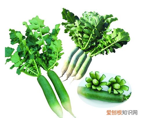 卫青萝卜功效及食用方法这样吃胜过人参