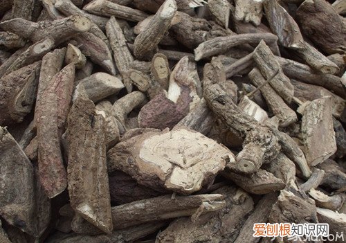 乌骨藤的功效与作用乌骨藤药材如何鉴别