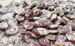 什么是肾豆 肾豆的功效有哪些