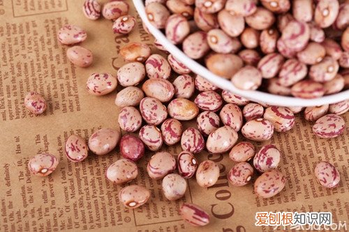什么是肾豆 肾豆的功效有哪些