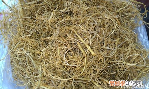 猕猴桃根泡酒的功效 猕猴桃泡酒的做法