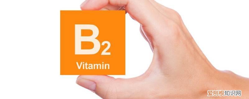 吃了维生素b6和b2 维生素b2和b6生吞还是
