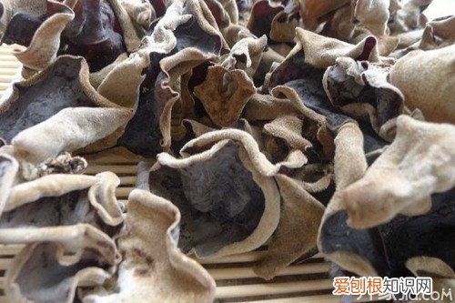 如何识别黑木耳毛木耳和黑木耳的区别