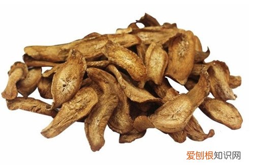 牛蒡根的作用吃了这么久才知道
