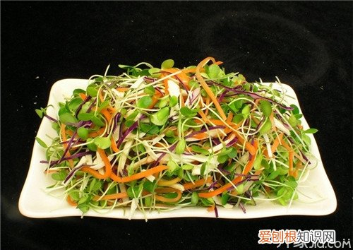 香椿苗怎么吃保证你直流口水