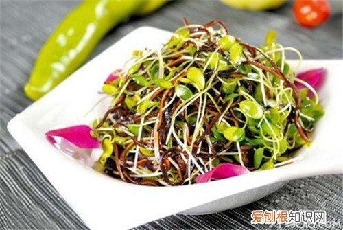 香椿苗怎么吃保证你直流口水