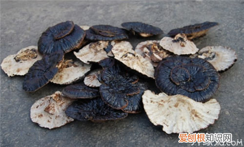 美容圣品——黑灵芝的功效与作用及食用方法，黑灵芝提取物的美容功效