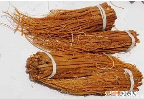 参须的功效与作用参须的吃法技巧