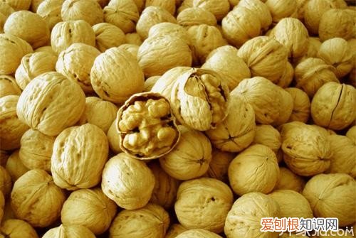 新疆核桃品种新疆6大核桃的品种及4大特产核桃
