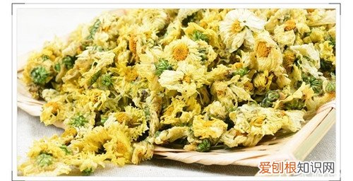 胎菊王冲泡方法胎菊王怎么冲泡又有怎样的功效呢?