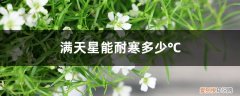 满天星适合什么季节养 满天星能耐寒多少℃，家庭养满天星注意事项