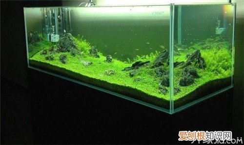 【学技巧】水草缸开缸步骤，水草缸开缸流程