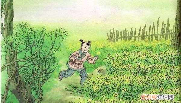 杨万里的诗有哪些,一年级学过杨万里的诗有哪些