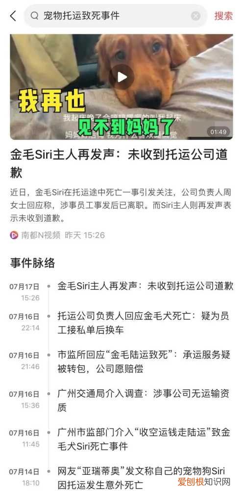 金毛siri事件网友评论 金毛Siri之死引发全网铲屎官愤怒：宠物的生命需要尊重！