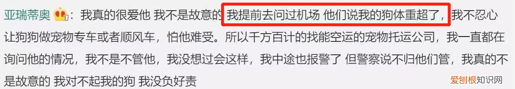 金毛siri事件网友评论 金毛Siri之死引发全网铲屎官愤怒：宠物的生命需要尊重！
