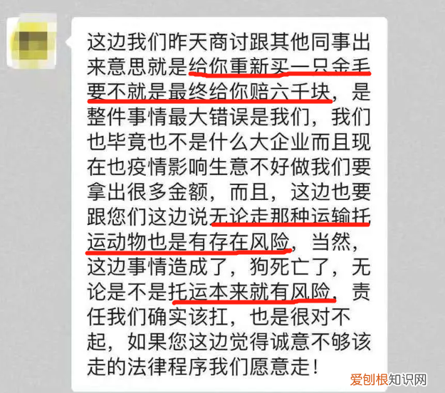 金毛siri事件网友评论 金毛Siri之死引发全网铲屎官愤怒：宠物的生命需要尊重！