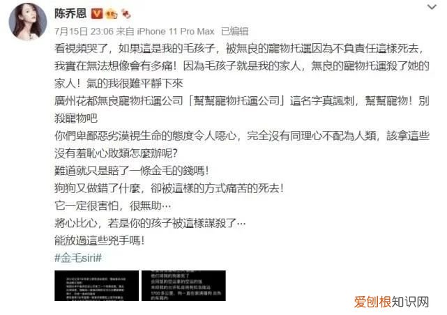 金毛siri事件网友评论 金毛Siri之死引发全网铲屎官愤怒：宠物的生命需要尊重！