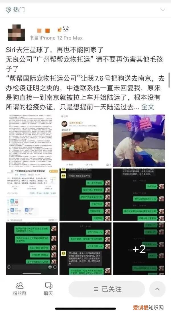 金毛siri事件网友评论 金毛Siri之死引发全网铲屎官愤怒：宠物的生命需要尊重！
