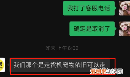 金毛siri事件网友评论 金毛Siri之死引发全网铲屎官愤怒：宠物的生命需要尊重！