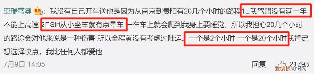 金毛siri事件网友评论 金毛Siri之死引发全网铲屎官愤怒：宠物的生命需要尊重！