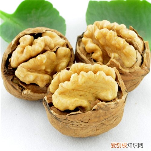 薄皮核桃多少钱一斤千万别上当了