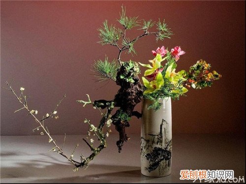 【插花艺术】现代插花艺术的特点及插花技巧，现代插花艺术的设计技巧有哪些