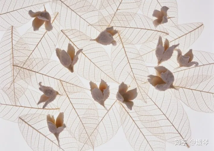 生活中的化学与健康论文参考文献，生活中的化学
