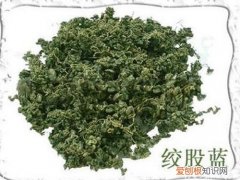 绞股蓝泡水喝伤胃?绞股蓝泡水喝的禁忌