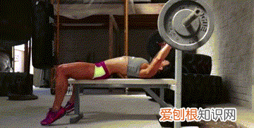 什么叫有氧运动和无氧运动?它们的区别在哪里?