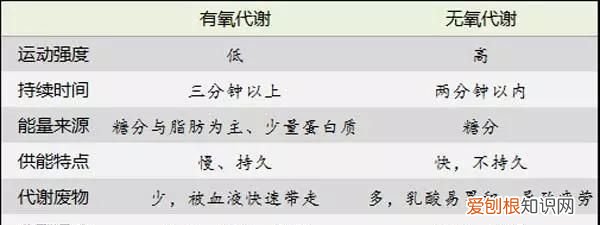 什么叫有氧运动和无氧运动?它们的区别在哪里?