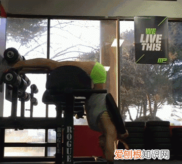 什么叫有氧运动和无氧运动?它们的区别在哪里?