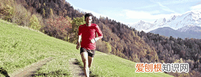 什么叫有氧运动和无氧运动?它们的区别在哪里?