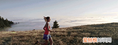 什么叫有氧运动和无氧运动?它们的区别在哪里?