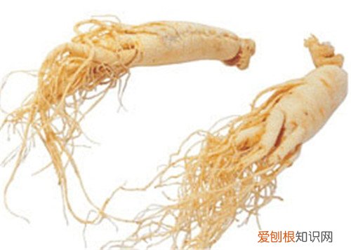 鲜人参怎么吃效果最好这些技巧要知道