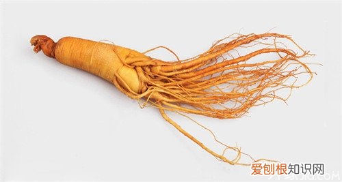 鲜人参怎么吃效果最好这些技巧要知道