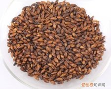 生麦芽和炒麦芽的区别与药理作用，生麦芽和炒麦芽的区别与药理作用是什么