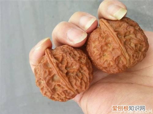 手玩核桃有什么好处?该怎么保养?,手玩核桃有什么好处?该怎么保养呢
