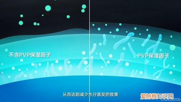 强生隐形眼镜 安视优推出”6维舒适”全新概念