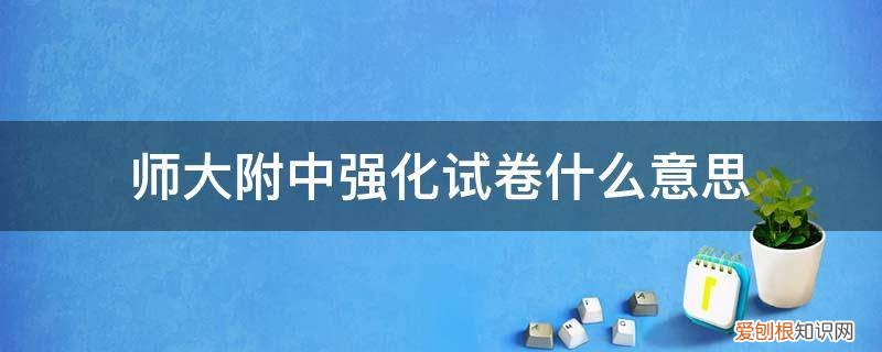 师大附中模拟试题 师大附中强化试卷什么意思