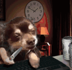 狗狗得了肺癌 “因为我吸烟，导致狗狗肺癌去世…”