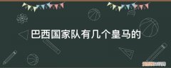 皇马和西班牙国家队 巴西国家队有几个皇马的