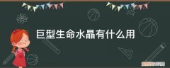生命之光水晶是什么 巨型生命水晶有什么用
