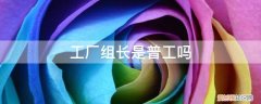 在厂里当组长还是当普工好 工厂组长是普工吗